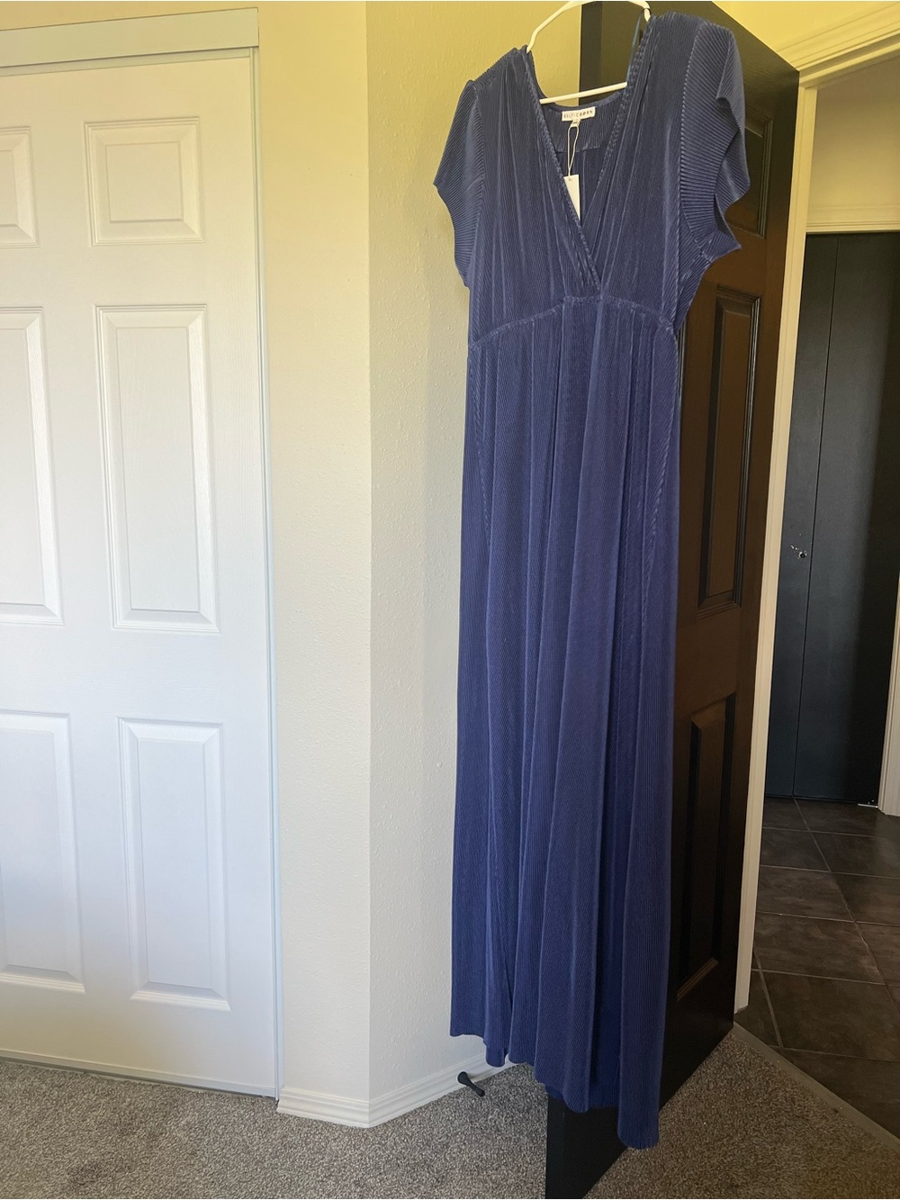 Baltic Born Navy V-Neck Pleated Maxi Dress